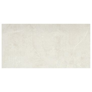 Emser Sterlina Silver 12" x 24" Polished Porcelain Tile, , large