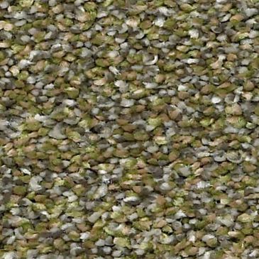 Shaw Points Of Color II Carpet in Chameleon , , large