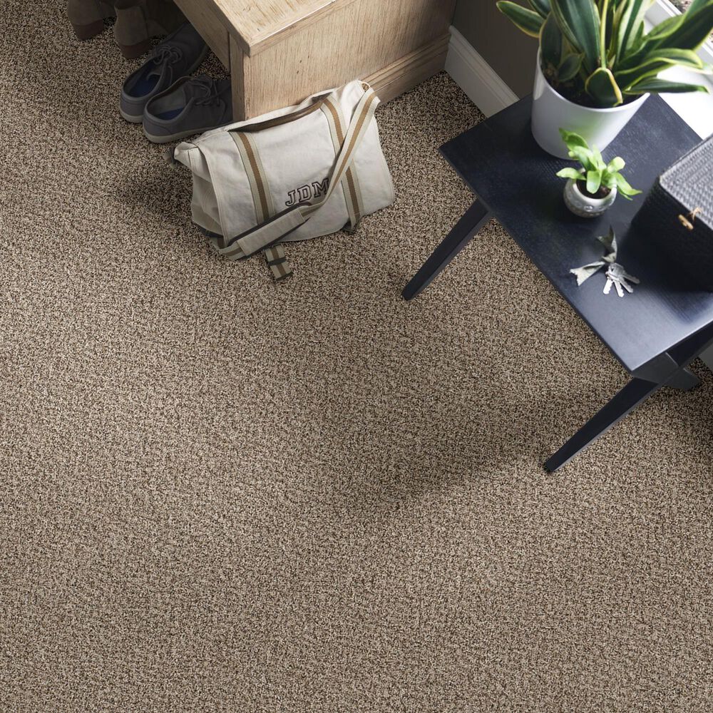 Philadelphia Mixed Essentials Carpet in Resort Beach, , large