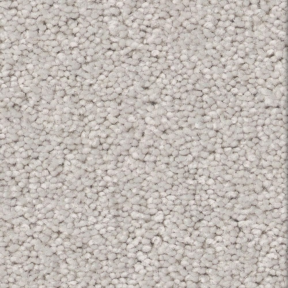 Shaw Las Cruces Carpet in Luna, , large