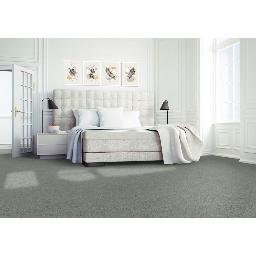 Mohawk Gentle Guardian lV Carpet in Mercury, , large