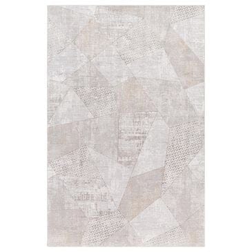 Surya Carmel 10" x 14" White, Ivory, Gray and Taupe Area Rug, , large