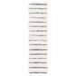 Safavieh Venus Shag VNS604B 2"2" x 12" Ivory and Dark Grey Runner, , large