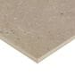 Dal-Tile Exposition Gesso 24" x 24" Porcelain Tile, , large
