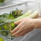 Fisher & Paykel Series 7 20.1 Cu. Ft. Freestanding French-Door Refrigerator Freezer with Ice in Stainless Steel, , large