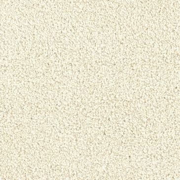 Dixie Home Big Splash Carpet in Sand, , large