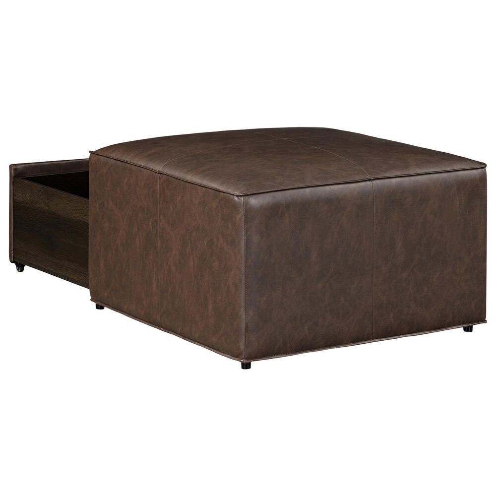 Lifestyle Solutions Hailey Storage Ottoman in Brown, , large