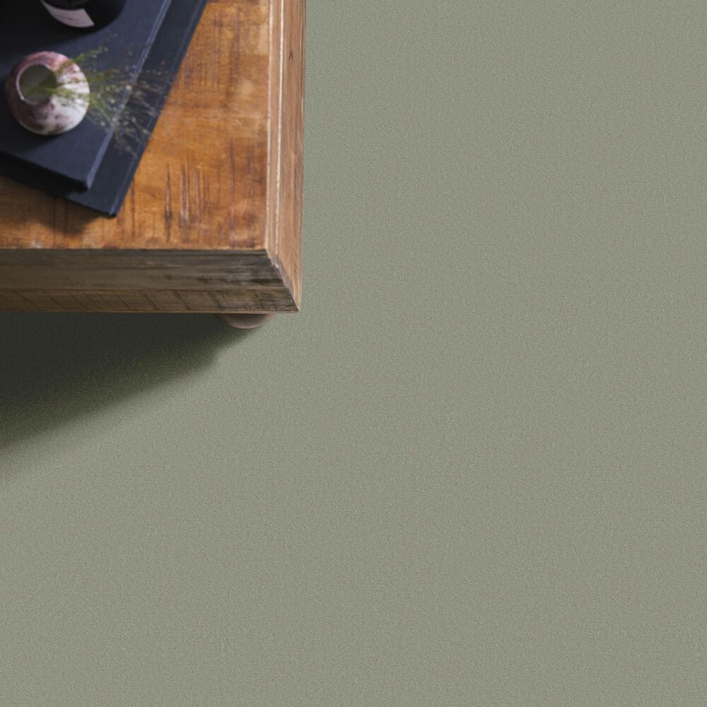 Anderson Tuftex Finery Carpet in Saybrook Sage, , large