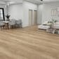 Fuzion Dynamix XL 3DGE Ashen 9" x 60" Luxury Vinyl Plank, , large