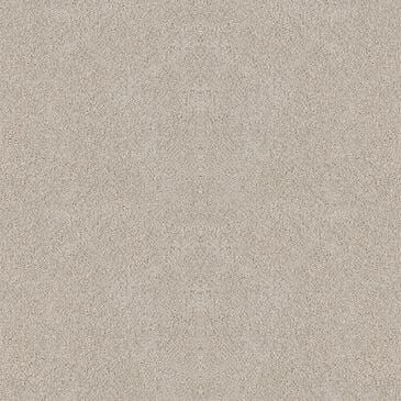 Dixie Home Winding Creek Carpet in Sandcastle, , large