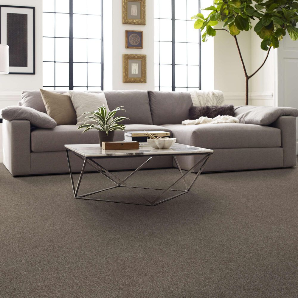 Shaw Grand Outlook Carpet in Pea Gravel, , large