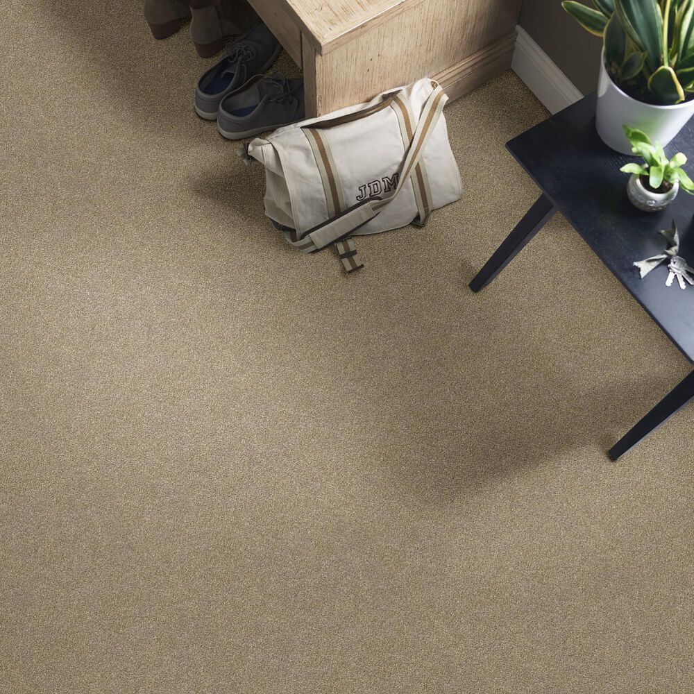 Shaw Find Your Comfort NS Blue Carpet in Honey Tea, , large