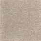 Mohawk Homefront III 2R33 Carpet in Cappuccino, , large