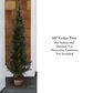 Timberlake 5" Artificial Cedar Topiary Tree with Pot in Green, , large
