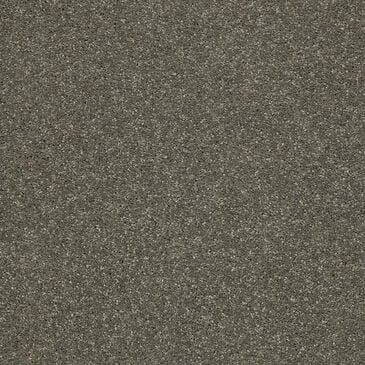 Shaw Basic Rules Carpet in Portobello, , large