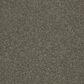 Shaw Basic Rules Carpet in Portobello, , large