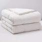Allied Home Goose Down Full/Queen Comforter in White, , large