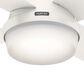 Hunter Dempsey 52" Outdoor Ceiling Fan with Lights in Fresh White, , large