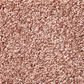Shaw Find Your Comfort TT I Carpet in Open The Rose, , large