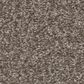 Shaw You Got This II Carpet in Cobblestone, , large