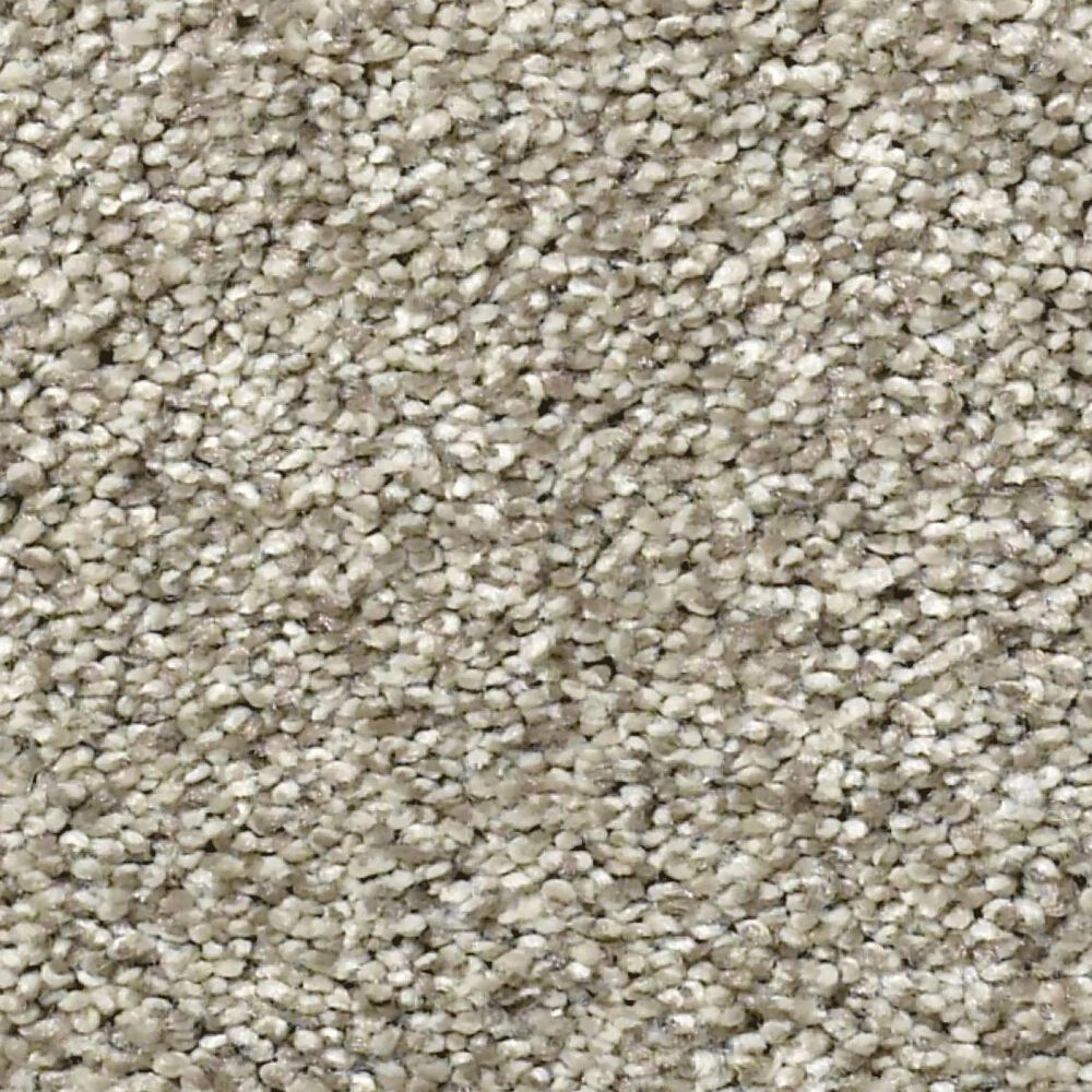 Shaw Tonal Comfort I Carpet in Back Patio, , large