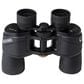 Celestron Ultima 10x42 Porro Binocular, , large