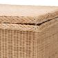 Baxton Studio Caden Storage Bench in Natural, , large