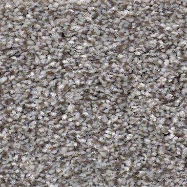 Shaw Just Right II Carpet in Cedar Ridge, , large