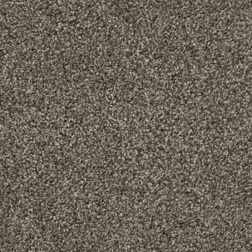 Dixie Home Outlast Carpet in Boulder, , large