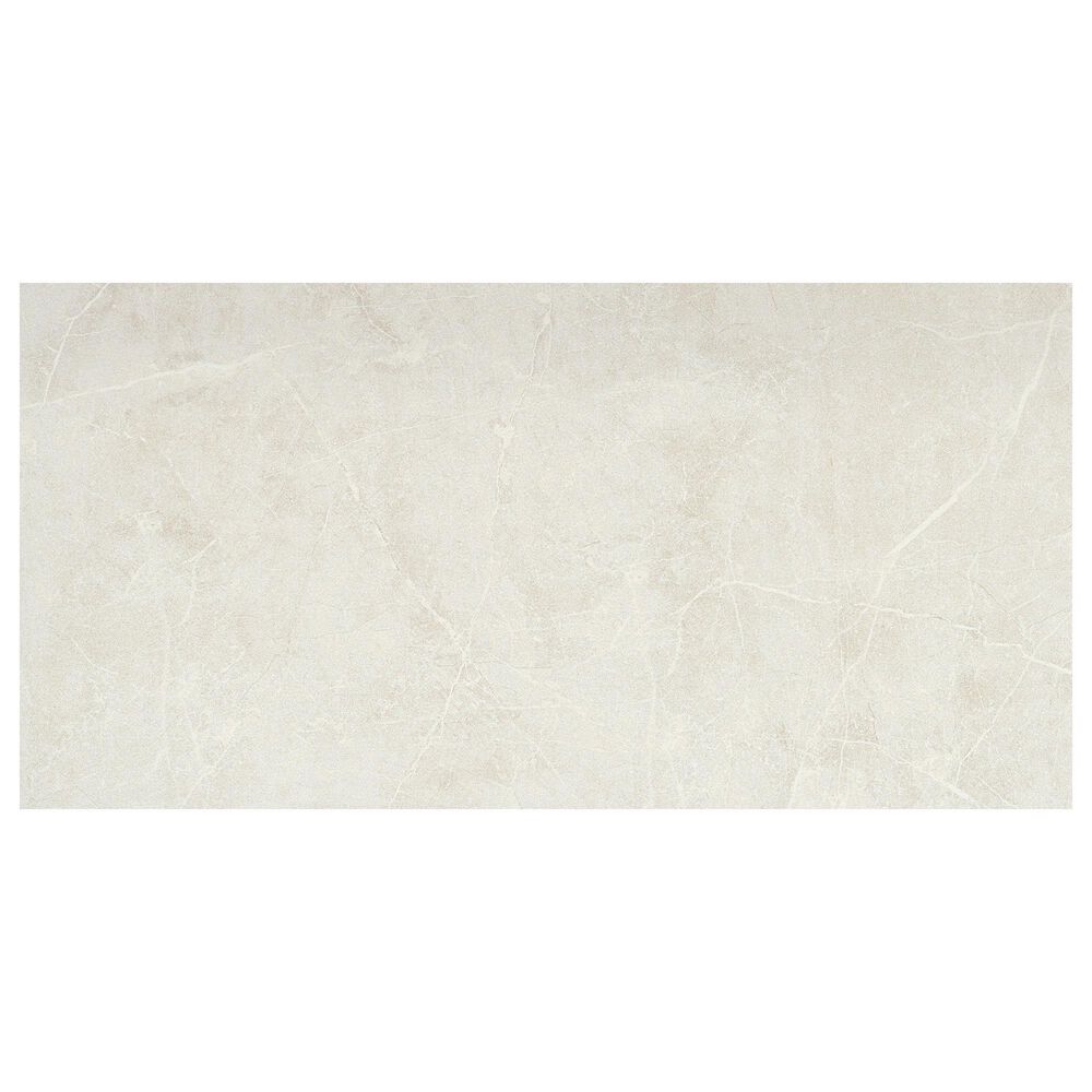 Emser Sterlina Silver 12" x 24" Matte Porcelain Tile, , large