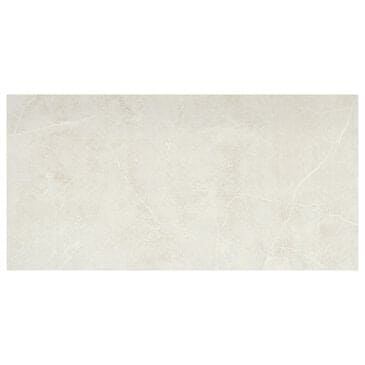 Emser Sterlina Silver 12" x 24" Matte Porcelain Tile, , large