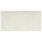 Emser Sterlina Silver 12" x 24" Matte Porcelain Tile, , large