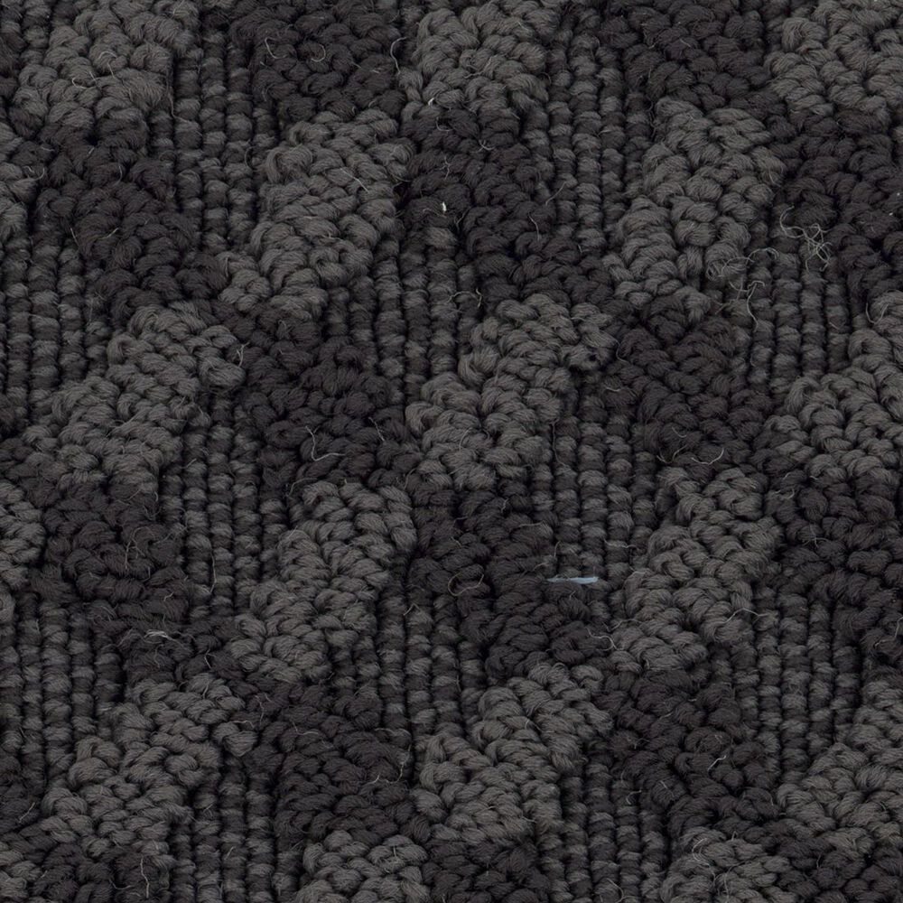 Anderson Tuftex Inspired Design Carpet in Wrought Iron, , large