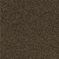 Shaw Making The Rules II 15" Carpet in Sedona, , large