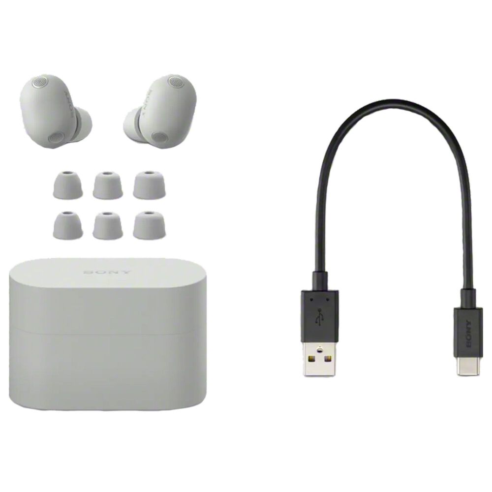 Sony True Wireless Noise Canceling Earbuds in Silver, , large