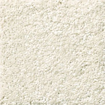 Philadelphia Foundations Take The Floor Texture II Carpet in Modern Loft, , large