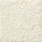 Shaw Foundations Take The Floor Texture II Carpet in Modern Loft, , large