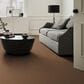 Anderson Tuftex Enduring Charm Carpet in Autumn Glaze, , large