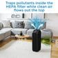 Danby Air Purifier for rooms up to 210 sq. ft in Black, , large