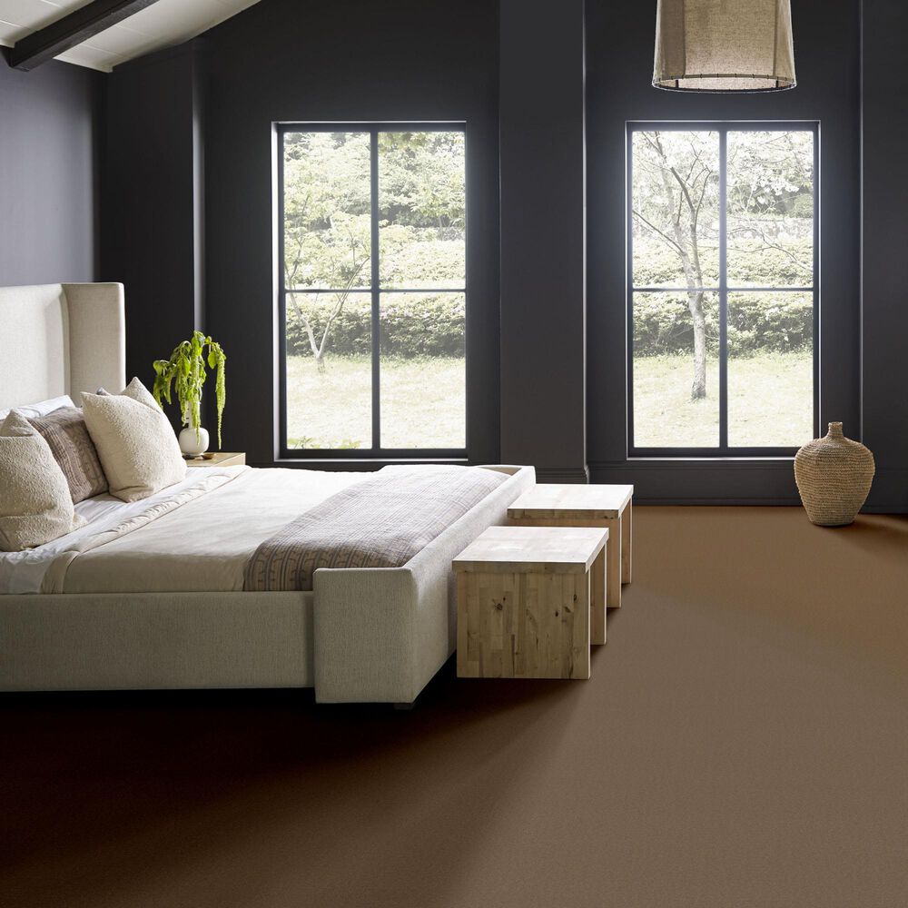 Anderson Tuftex Finery Carpet in Hawk, , large