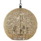 Golden Lighting Florence 5-Light Pendant in Matte Black, , large