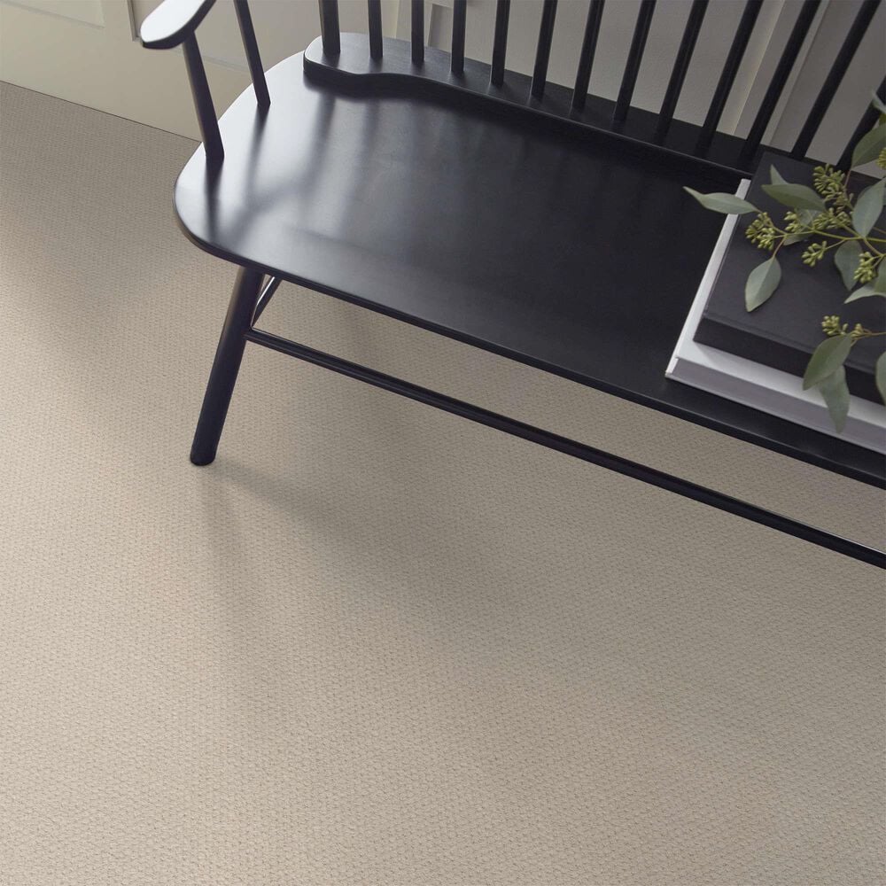 Shaw Austin Park Carpet in Alabaster, , large