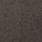 Mohawk Windsor Gardens II Carpet in Wrought Iron, , large