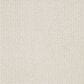 Dixie Home Pleasant Valley Carpet in White Pine, , large