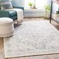 Surya Monaco MOC-2315 8"10" x 12"4" Silver Gray and Ivory Area Rug, , large