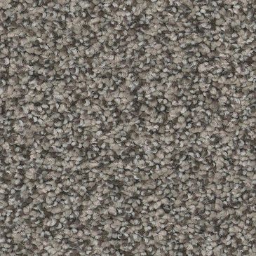 Anderson Tuftex Fabulous Carpet in Flannel Gray, , large