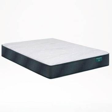 Beautyrest Harmony Abbott Pier Plush Twin Mattress, , large