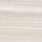 Shaw Vision Ash 16" x 32" Polished Ceramic Tile, , large