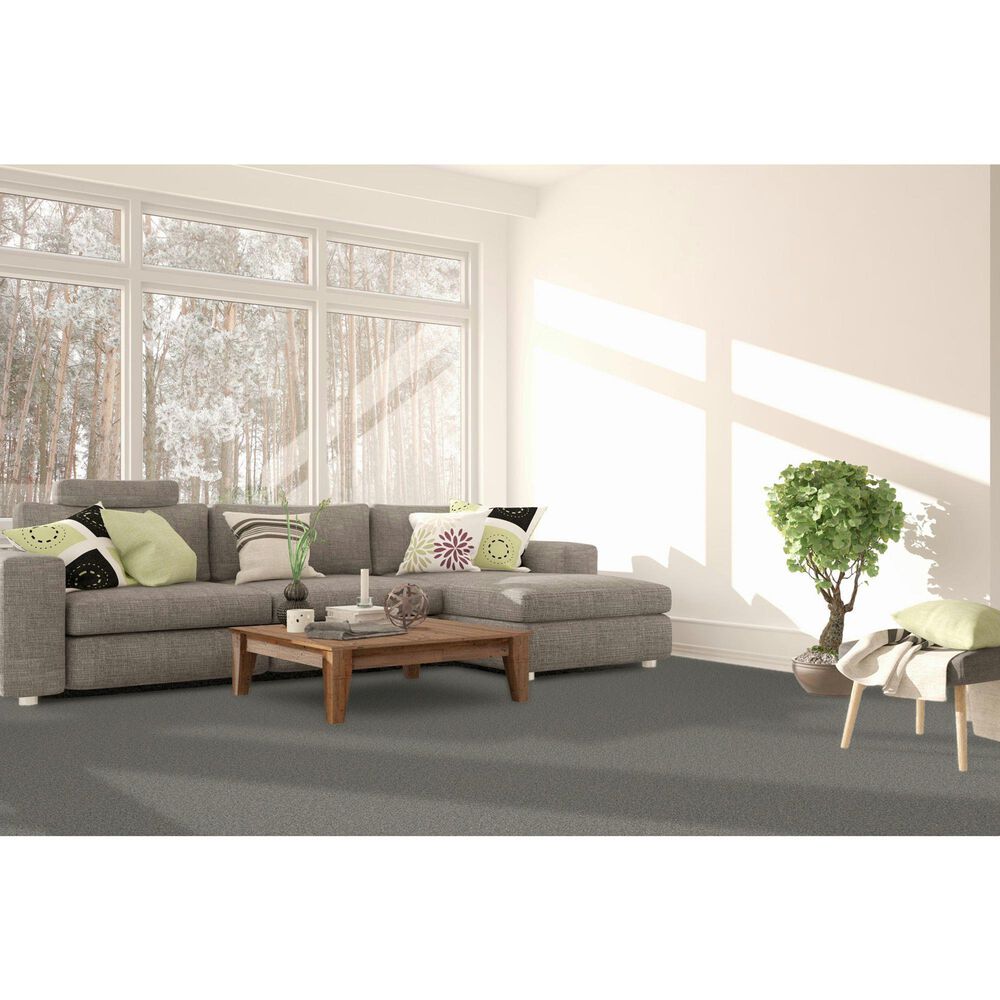 Dream Weaver Royale II Carpet in Marble Glaze, , large