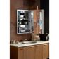 Kohler Verdera 20" x 30" Lighted Medicine Cabinet in Aluminum, , large